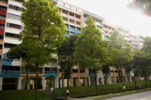 Blk 243 Bukit Batok East Avenue 5 (Bukit Batok), HDB 5 Rooms #330622